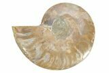 Cut & Polished Ammonite Fossil (Half) - Madagascar #223150-1